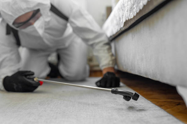 Professional Termite Control technician working in Lowell, IN