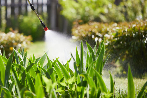 24/7 Emergency Termite Control experts in Lowell, IN