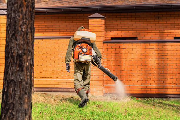 Top rated local Termite Control specialists in Lowell, IN